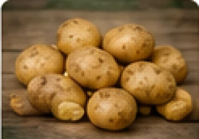 Potato