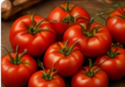 Tomato